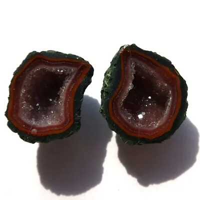 Tabasco Mexican Geode Polished Halves For Earrings Jewelry And Display  TEX1471 • $12