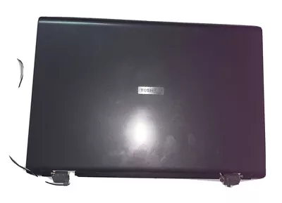 Toshiba Satellite P105 17   Trubrite Tft Lcd Display Assembly • $75