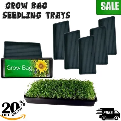 Full Size Large Propopylene Grow Bag Trays Garden Seed Propagator Tray With Hole • £9.99