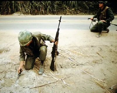 Engineer Battalion Probes For An Enemy Mine 8x10 Vietnam War Photo 624 • £7.16