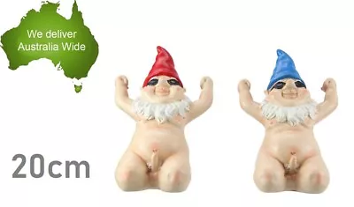 1pc 20cm Kneeling Naked Gnome Winning Garden Ornament Figurine Statue Sculpture • $29.99