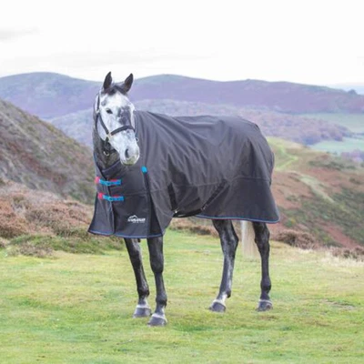 £72.99 • Buy SHIRES Highlander Original 200g Medium Weight Combo Neck Turnout Rug