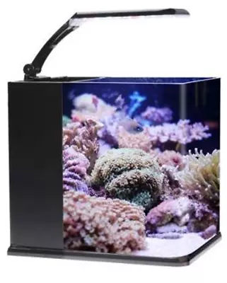 Nano Rimless Cubed Glass All-in-One Aquarium | 3-5 Gallon • $75