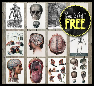 Vintage Retro Medical Anatomy Medicine Human Body Surgical Posters • $4.05
