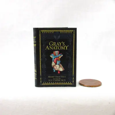 1:6 Scale GRAY'S ANATOMY Readable Illustrated Miniature Medical Book • $14.18