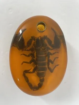Real Vintage Taxidermy  Scorpion Insect In Lucite Amber  Resin Block Paperweight • $19.99
