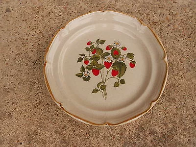 International Endura La Fraise 7.5  SALAD PLATE Stoneware JAPAN • $4