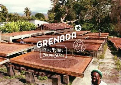 Grenada Fine Estate Cacao Cocoa Beans • £15