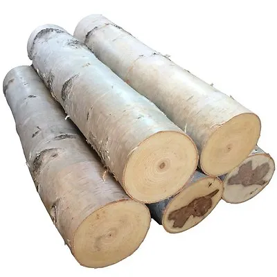 $47.50 • Buy Large Birch Fireplace Log Set Of Five