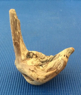 £3 • Buy Driftwood, Dorset Jurassic Coast, 1 Rustic Ornate Piece, Arts & Crafts, Etc 5/2