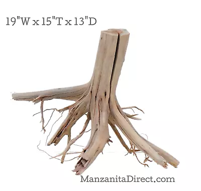 Manzanita Driftwood Stump For Aquarium Reptile Or Garden Decor   0225-12 • $140