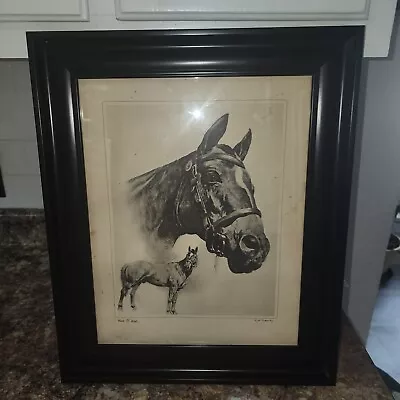 Man O War Champion Race Horse Beautiful Matted/Framed Art Print VG+ • $74.50