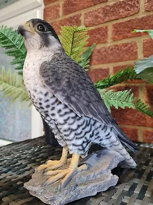 Vivid Arts Peregrine Falcon Highly Detailed Garden Ornament • £35.95