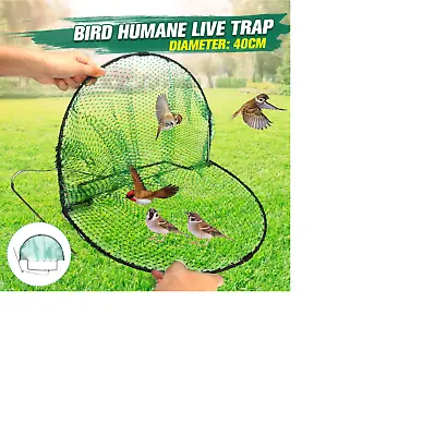 $25 • Buy NEW Sparrow Bird Pigeon Quail Humane Live Catching Net Trap Hunting Mesh 49X30cm