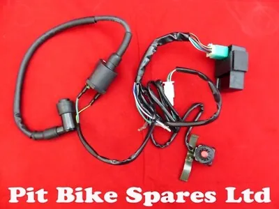 Pit Bike Complete Wiring Loom For Kick Start Pit Bike Engine 110cc 125cc 140cc • £19.99