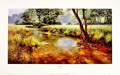 David Dipnall  Idle Waters  Stream England Sunlight Brown Fine Art Print • £21.99