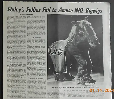 1970 Oakland California Golden Seals NHL Hockey Mule Mascot Photo C Finley AD • $11.99