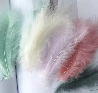 BULK 50pcs Mixed Colour Veniard Turkey Marabou Feathers 8-15cm DIY Craft Party • $6.95