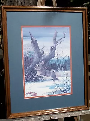 Framed & Matted R.J. McDonald Art Print   Eastern Cottontail Rabbit  • $35