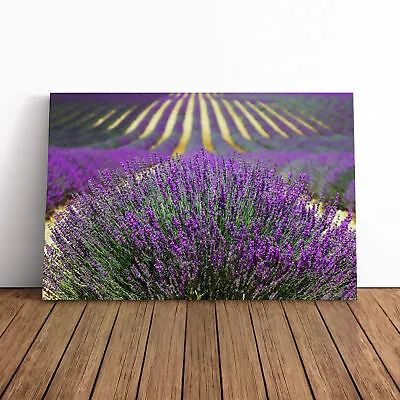 Flower Purple Lavender Field Landscape Canvas Wall Art Print Framed Picture • £24.95