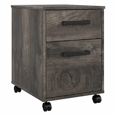 City Park 2 Drawer Mobile File Cabinet In Dark Gray Hickory - Engineered Wood • $59.98