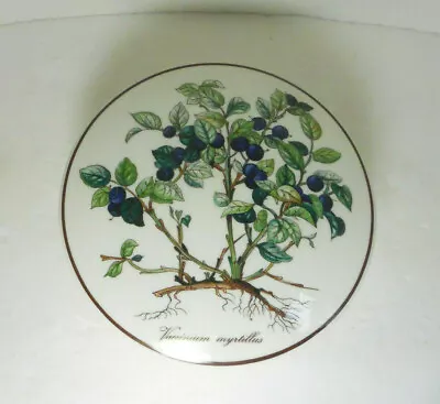 Villeroy & Boch Vaccinium Myrtillus Botanica Covered Trinket Box Germany • $24.99