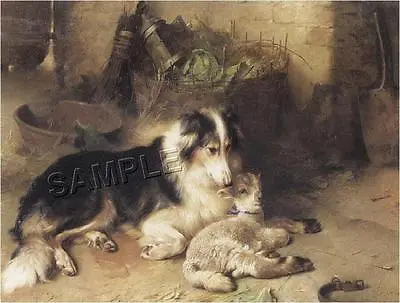 COLLIE & LAMB  SHEPHERD'S PET  DOG SHEEP FARM *CANVAS* ART PRINT - 11  X 8.5  • $29.60