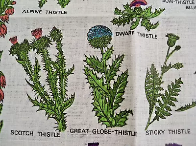 Vintage Tea Towel - Amazing 17 TYPES Of THISTLES & Some Heathers LINEN Linanne • $10