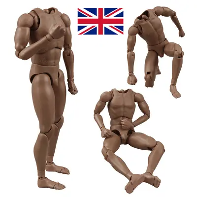 £20.28 • Buy Mcctoys 1/6 Male Action Figure Body Muscular V1-N Model Fit 12'' Phicen Hot Toys