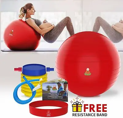 $19.99 • Buy Large Exercise Yoga Ball (65) Anti-Burst Slip-Resistant Balance Workout W/ Pump