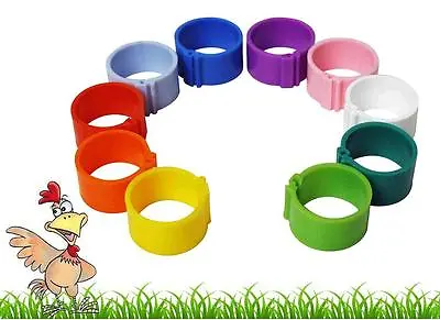 £2.79 • Buy 10 X 12mm Poultry Clip Leg Rings 10 Colours Chicken Pheasant Hatching Eggs