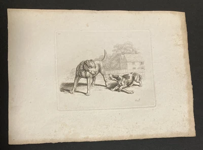£9.99 • Buy Etching By Samuel Howitt HOUNDS