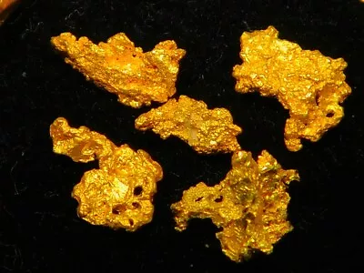 5 X PREMIUM Quality Australian  Gold Nuggets ( 1.49 Grams ) . Very CLEAN. • $151.61