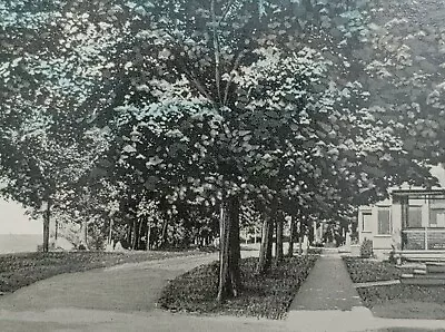 C1920 Linwood Park Lake Front Family Houses Homes Vermilion Ohio Vintage Postcar • $27.50