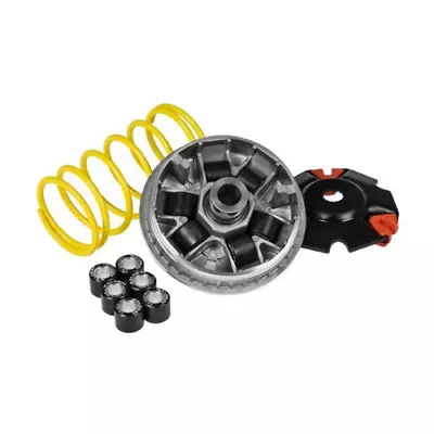 Fits HONDA 125 FORZA  NSS125  2021 2022  2023 MALOSSI MULTIVAR 2000 VARIATOR KIT • $170.53