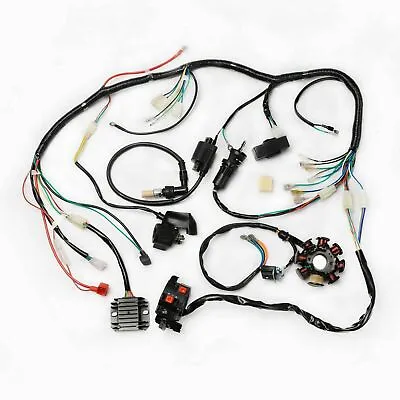 Wiring Harness CDI 2 Holes Stator For Electric ATV QUAD 200cc 250cc Taotao Lifan • $79.79