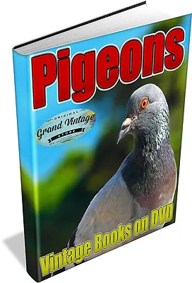 PIGEONS 55 Vintage Books On DVD HomingRacingDovecotesBreedingSquabsRearing • $7.57