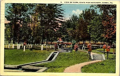 Vintage PA Postcard Park & State Fish Hatchery Corry Pennsylvania 1923 • $4.98
