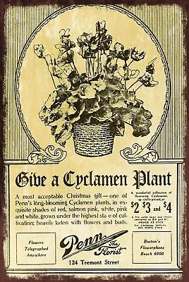 £2.49 • Buy Cyclamen Plant Advert Vintage Look Retro Style Metal Sign, Garden Shed Allotment