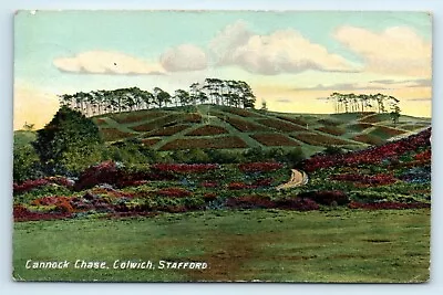 £8 • Buy POSTCARD CANNOCK CHASE COLWICH STAFFORD - WHS & SONS No 94c - 1925 