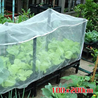 Outdoor Protective Netting Garden Yard Anti Bird Plant Cover Fruit Cage Crop Veg • £11.14