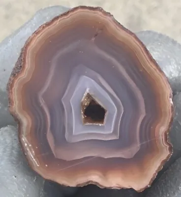 2.0 Oz Face Polished Moctezuma Agate Geode Pink Display Piece Botryoidal • $12.50