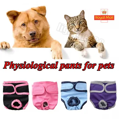 £4.92 • Buy Female Pet Cat Dog Physiological Pants Sanitary Nappy Diaper Shorts Underwear UK