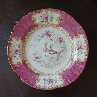 OLD Minton MINTONS English Porcelain PINK Cockatrice 9  Plate -NICE! • $150