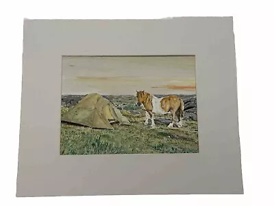 Mark Leary Art Dartmoor Ponies Watercolour Painting Pony Investigation A Tent • £25