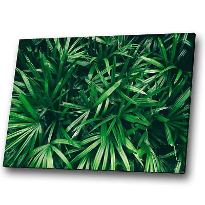 Abstract Canvas Prints Framed Wall Art Picture Leaves Green Black Leaf Nature • £14.99