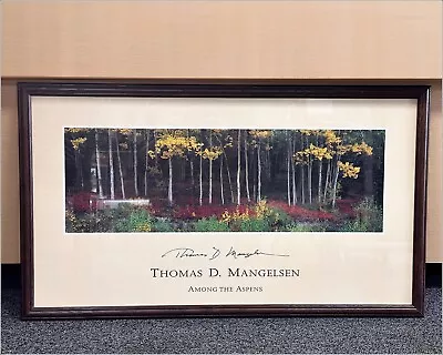 Large Thomas D Mangelsen  Among The Aspens  Photo Print Signed Framed • $149.99