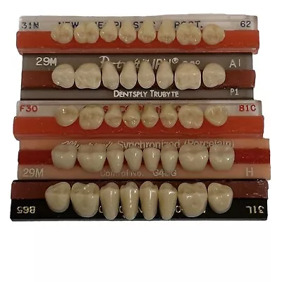 Vtg Denture Teeth False Tooth Set Dentist Halloween Creepy Oddities B1 • $19.89