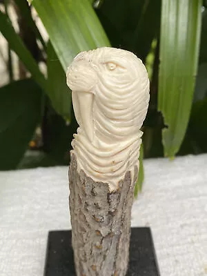 Sea Lion Carving Carved Knife Handle Antler Carving Moose Handle Antler Handle • $115