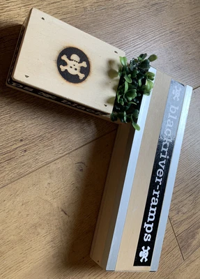 £7.50 • Buy Blackriver Ramps Fingerboard Box 7